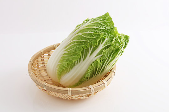 新鮮な白菜