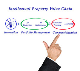 Intellectual Property Value Chain.