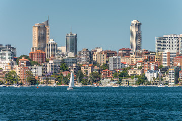 Fototapeta premium Sydney City Skyline - Elizabeth bay