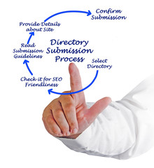Diagram of directory Submission Process