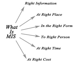 What Is MIS © Dmitry