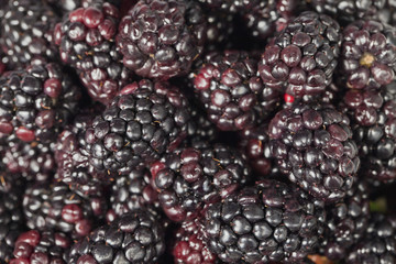heap of blackberries