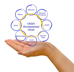diagram of Child's Developmental Needs