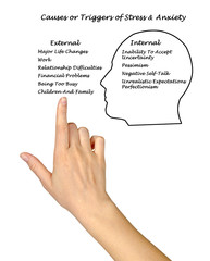 Causes & Triggers of Stress & Anxiety