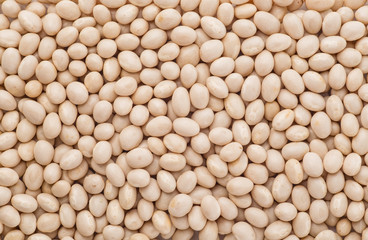 Navy beans organic, Closeup macro shot.