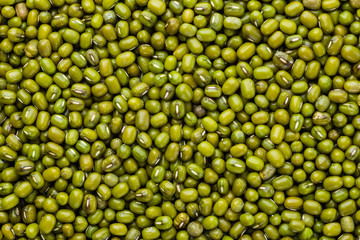green beans organic, Closeup macro shot.