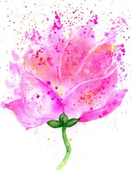Fototapeta na wymiar Lotus Flower Watercolor