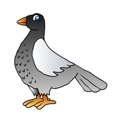 cartoon pigeon