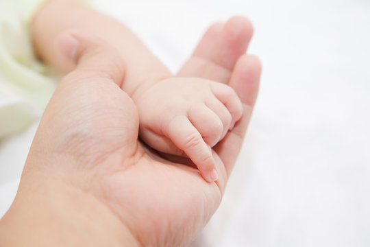 hands of father holding baby hand 