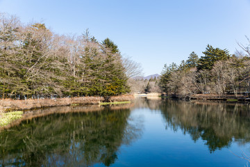 Fototapeta na wymiar Reflection of Lake