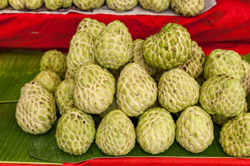 Custard apple is eaten fresh from the tree are useful.