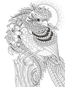 beautiful sparrow adult coloring page