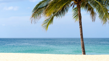 Obraz na płótnie Canvas Summer time on beach. Green coconut tree on a white sand beach at Kata beach, Phuket, Thailand.
