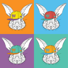 Image Portrait of rabbit in a baseball cap with glasses. Pop art style vector illustration.