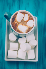 Cup of hot cocoa and marshmallow