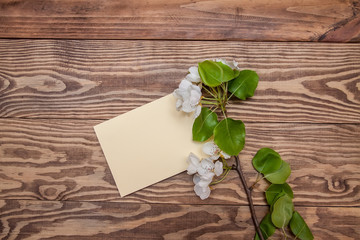 blossoming of apple branch, greeting card, blank on shaby wooden