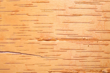 Naklejka na ściany i meble Birch cork background