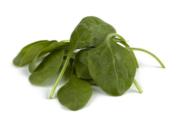 semi-savoy spinach