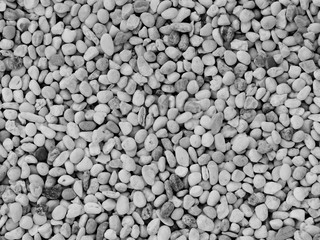 Small white stone gravel background texture. rocky, stony pebbles texture.