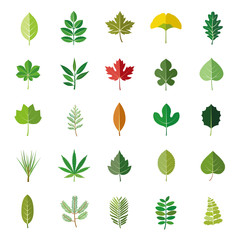 Leaves color vector icons