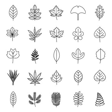 Leaves outlines vector icons