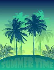 Obraz premium palm beach 23