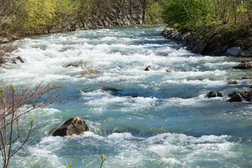 Foto op Aluminium afbeelding van stromend water in de rivier © sergiy1975