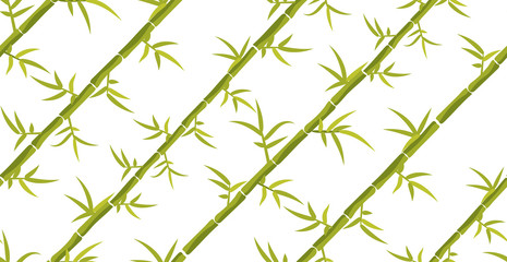Bamboo plant seamless diagonal pattern. Bamboo sticks japan forest backdrop on white.