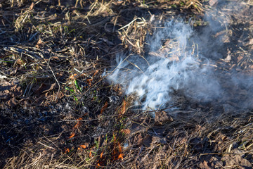 Obraz premium Burning steaming dry grass early in spring