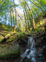 Fototapeta premium Wasserfall im Wald