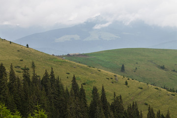 summer landscape of Marmarosy mountains range of Carpathian mountains on the Ukraine and Romania border