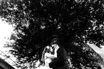 Newlyweds kiss under a huge old tree