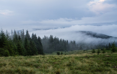 summer landscape of Marmarosy mountains range of Carpathian mountains on the Ukraine and Romania border