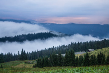 Fototapeta na wymiar summer landscape of Marmarosy mountains range of Carpathian mountains on the Ukraine and Romania border