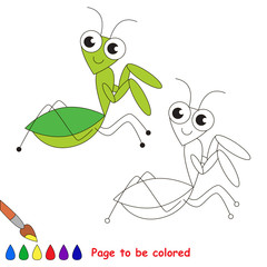 The green mantis cartoon. Page to be colored. 