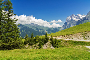 Fototapeta na wymiar Beautiful idyllic Alps landscape and trail, mountains in summer, Switzerland 