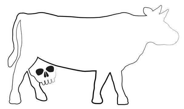 Cow with a skull instead of an udder - a symbol for unhealthy milk and dairy products. Isolated vector illustration on white background.