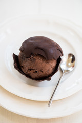 Chocolate Ice Cream Scoop is laying on Chocolate Homemade Bow