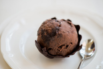 Chocolate Ice Cream Scoop is laying on Chocolate Homemade Bow