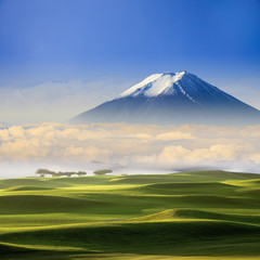 Fototapeta premium beautiful landscape with nice background color