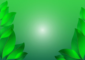 Fototapeta na wymiar Green leaves vector abstract background. green nature concept