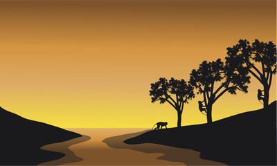Silhouette of monkey in river