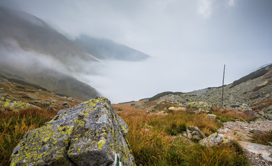 Fog in the Mountains. Rock and Grass in Foreground