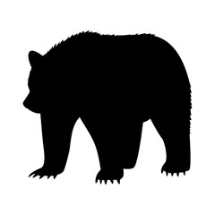 animal bear abstract