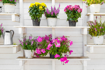 Multiple black and white flowerpots display on shelve