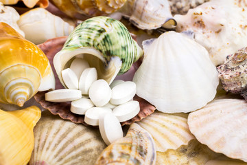 Calcium natural food supplement pills on the beautiful seashells background