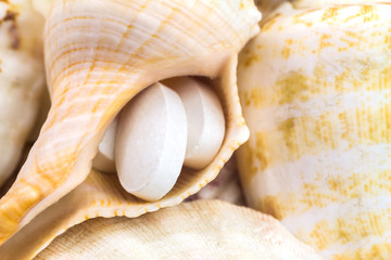 Calcium natural food supplement pills on the seashells background, macro shot, selective focus