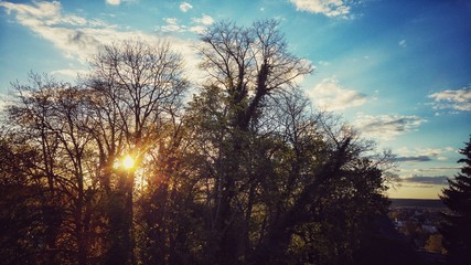 Sonnenuntergang mit Aussicht auf Bäume, Stadt und blauen Himmel