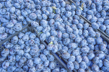 farmers market on streets on istanbul