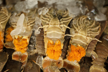 Mantis shrimp - squilla mantis - with roe, fresh seafood.